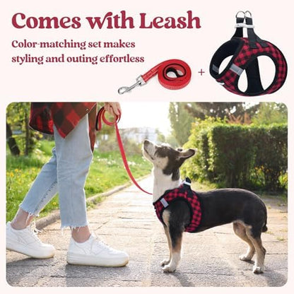 rabbitgoo Dog Harness Medium Sized and Leash Set, Step-in Puppy Pet Vest