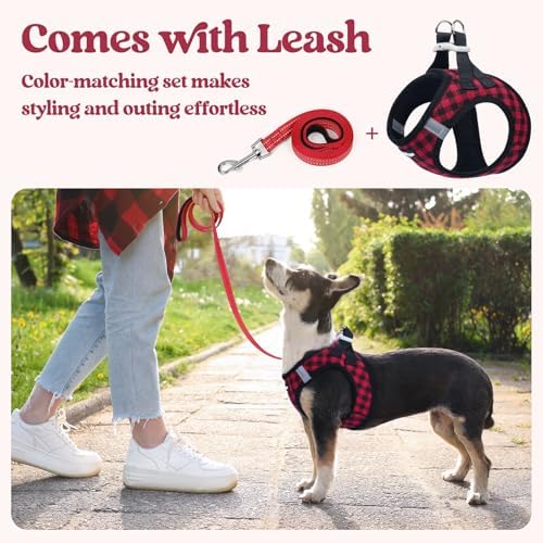 rabbitgoo Dog Harness Small Sized and Leash Set, Step-in Puppy Pet Vest
