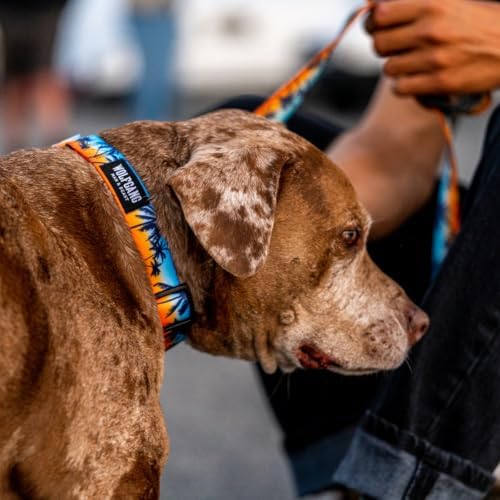 Wolfgang Heavy Duty Dog Leash, Pull-Tested to Over 800 lbs for Walking & Training, SunsetPalms Print, Dual-Handle Large