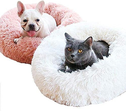 Cat Bed for Indoor Cats,Mini Plush Self Warming Kitten Bed, 20 Inch
