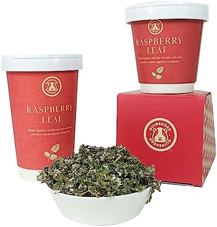 GuineaDad Organic Guinea Pig Herbal Treats - Guinea Pig Food with Convenient Packaging - Raspberry Leaf Flavor - 16 fl. oz - Guinea Pig Treats Help with Bonding - High in Nutrition and Fiber - Large