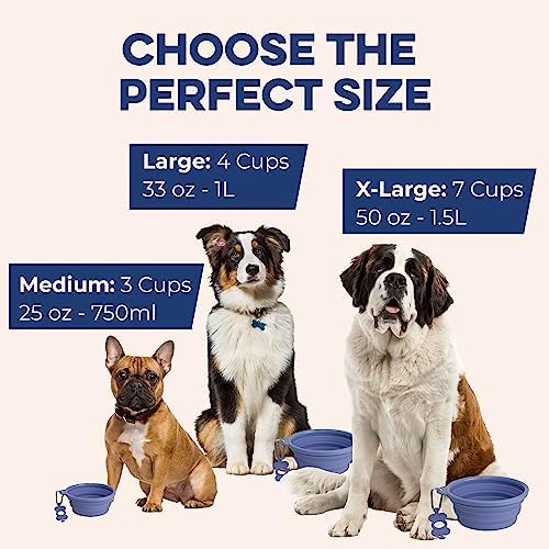 Bonza by Leash Boss Collapsible Dog Slow Feeder Bowl, Portable Silicone Travel Bowl for Food & Water, Slow Eating for Large, Medium, & Small Sized Breeds, Anti-Choking, BPA-Free, Dishwasher Safe