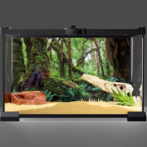 48x18 in Terrarium Backdrop Rainforest Moss Tree Reptile Habitat Background