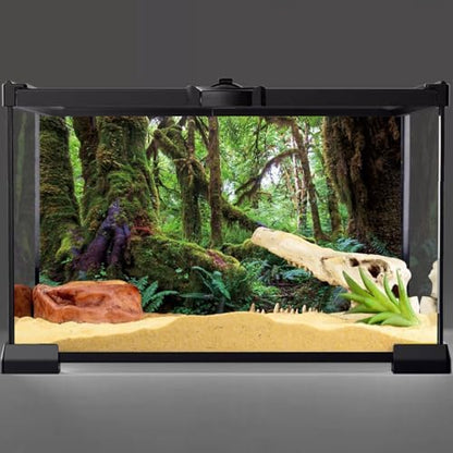 36x24 in Terrarium Backdrop Rainforest Moss Tree Reptile Habitat Background