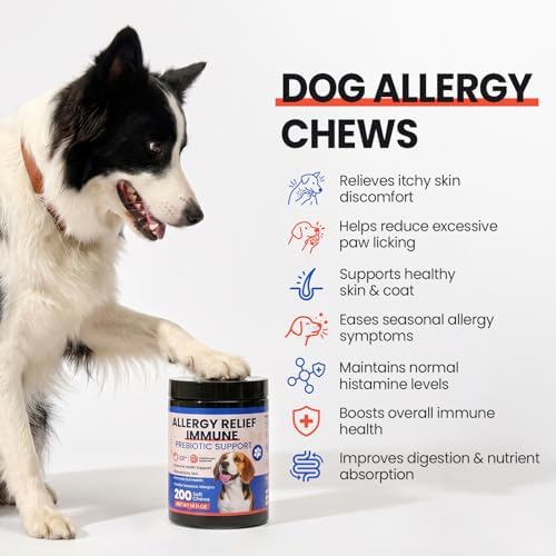 Dog Allergy Chews 200 Ct - Itch Relief for Dogs Immune Support with Colostrum Probiotics & Omega 3 - Seasonal Allergies Anti-Itch Skin & Coat Supplement, Itchy Skin & Paw Relief Bites - Chicken Flavor