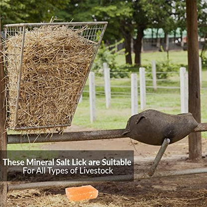 Licking Salt for Horse - 6 Pack, Pink