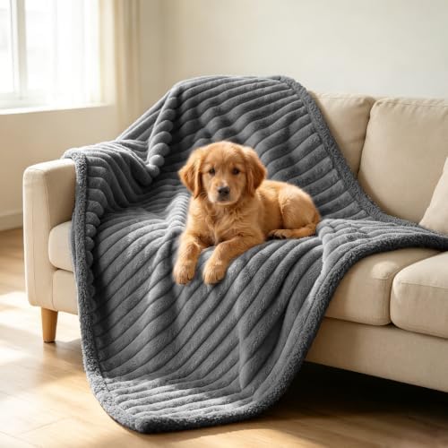 Waterproof Dog Blanket, Washable Reversible Pet Blankets, 19x27in, Grey