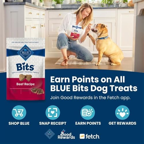 Blue Buffalo Bits Beef Training Treats, 11 oz