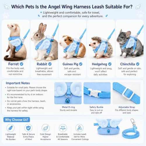 Ferret Harness and Leash Set for Adult Ferrets, Cute Angel Wing Small Animal Vest Harness, Adjustable for Ferrets Kittens Mini Dogs Blue1536-2
