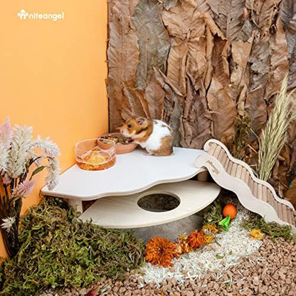 Niteangel Hamster Play Wooden Platform: Triangle - 9" L x 9" W - 6.3" H