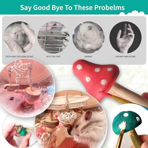 13 PCs Hamster Toys for Hamster, Gerbils, Mice, Rats, and Other Small Animals - Natural Molar Chew & Play Toys to Induce Teeth Grinding, Reduce Boredom and Depression