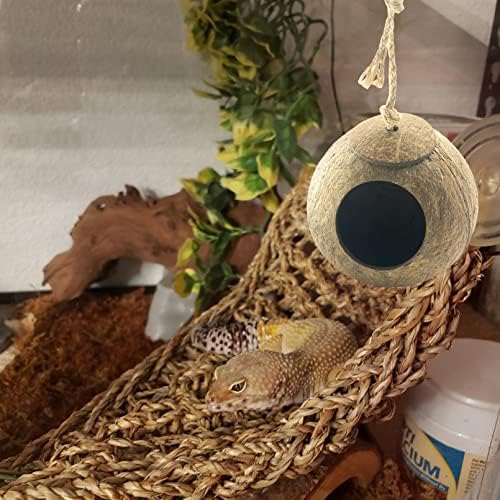 Crested Gecko Coconut Hut,Leopard Gecko Natural Coco Shell Den Reptiles Habitat Durable Hanging Cave Hideouts Plants Climbing Decoration for Amphibians and Small Animals(4 Pcs)