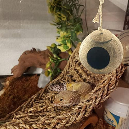 Crested Gecko Coconut Hut,Leopard Gecko Natural Coco Shell Den Reptiles Habitat Durable Hanging Cave Hideouts Plants Climbing Decoration for Amphibians and Small Animals(4 Pcs)