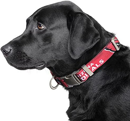 Littlearth NFL Detroit Lions Pet Premium Collar, Team Color, Small
