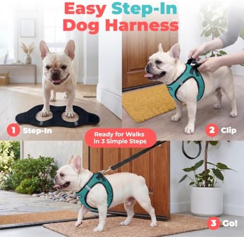 Voyager Step-in Air Dog Vest Harness - Turquoise 2-Tone, Large