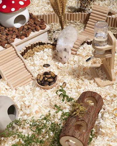 Niteangel Hamster Snack & Treats Toy: Freeze-Dried Dubia & No Additive