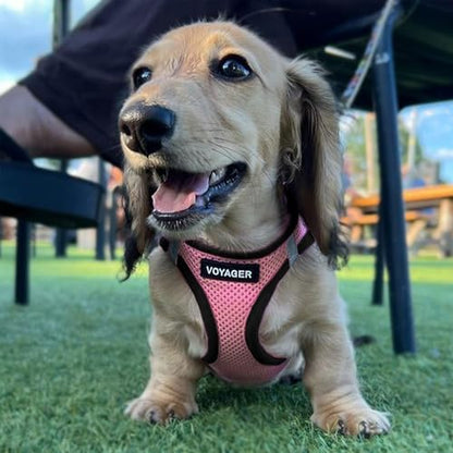 Voyager Step-in Air Dog Vest Harness - Pink/Black Trim, X-Large