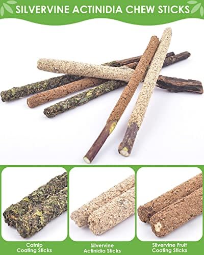 TINDTOP Catnip Chew Toys for Cats, 12 Pack Natural Silvervine Sticks