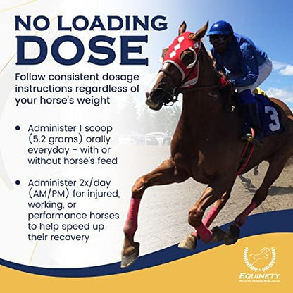 100-Day Supply Equinety Horse XL Powder Horse Supplement with Amino Acids