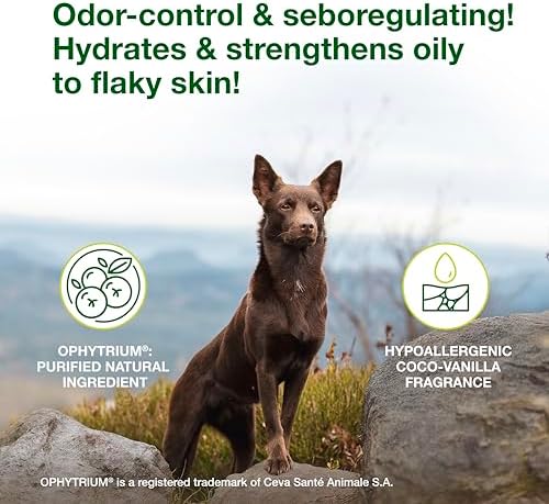 Douxo S3 SEB Dog Seboregulating Shampoo, 0.5% Ophytrium, 16.9 fl oz