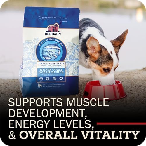 Redbarn Grain-Free Adult Dry Dog Food Kibble - Ocean Fish Recipe - Made in USA No Chicken Recipe with Functional Ingredients to Support Healthy Heart, Skin, Coat, Immunity & Digestion - 4lb