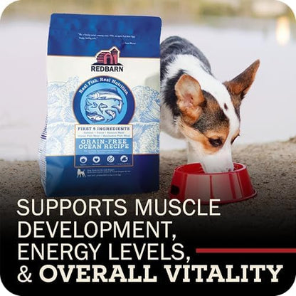 Redbarn Grain-Free Adult Dry Dog Food Kibble - Ocean Fish Recipe - Made in USA No Chicken Recipe with Functional Ingredients to Support Healthy Heart, Skin, Coat, Immunity & Digestion - 4lb
