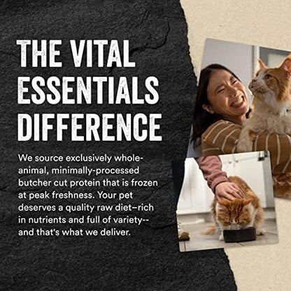 Vital Essentials Freeze Dried Raw Chicken Hearts Cat Treats | Single Ingredient | Premium Quality | Grain Free, Healthy Treats for Cats, 0.8 oz Bag (Pack of 3)