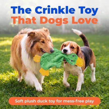 Best Pet Supplies Interactive Squeaky Dog Toy - Crinkle Duck, Green