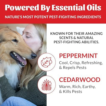 SKOUT'S HONOR Natural Flea and Tick Shampoo for Dogs, 16 oz