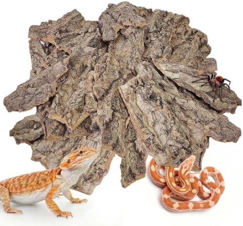 BNOSDM Reptiles Cork Bark Substrate,0.7lb Bearded Dragon Champagne Cork Bark Flats Hide Climbing,Reptiles Wood Bedding Terrarium Decor Tank Accessories for Lizards Snake Gecko Tarantula Isopods（M）