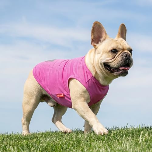 KYEESE 2Pack Dog Shirts for Small Dogs Breathable Mesh Tank Top