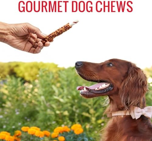 GOOD 'N' FUN Blasts Long-Lasting Dog Treat Made with Real Protein, 12 oz