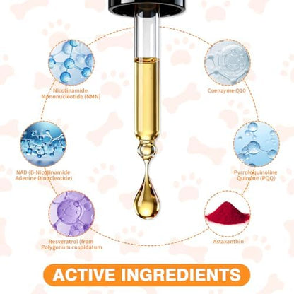 Mature Dog Vitality Drops with NMN,NAD+ & CoQ10-Longevity Supplement,Healthy Aging,Cellular Energy & Antioxidant Support -60ml（2 FL OZ）
