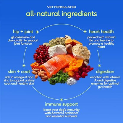 Native Pet The Daily Dog Vitamins & Supplements - 11-in-1 Multivitamin for Dogs - Daily Powder Supplement with Probiotics, Collagen - 90 Scoops