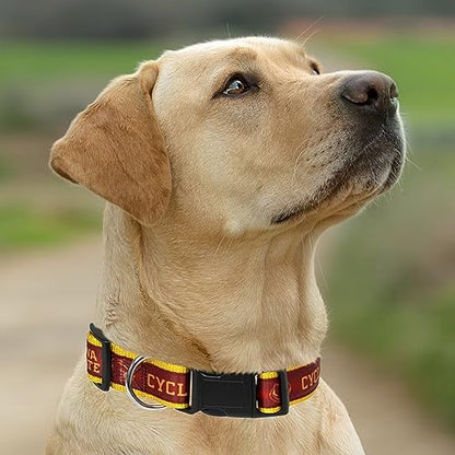 Pets First Collegiate PET Collar New Version Iowa State Cyclones Dog Collar, Size Medium. Best Sports Team Color for Dogs & Cats. A Shiny & Colorful Dog & Cat Collar Licensed by The NCAA