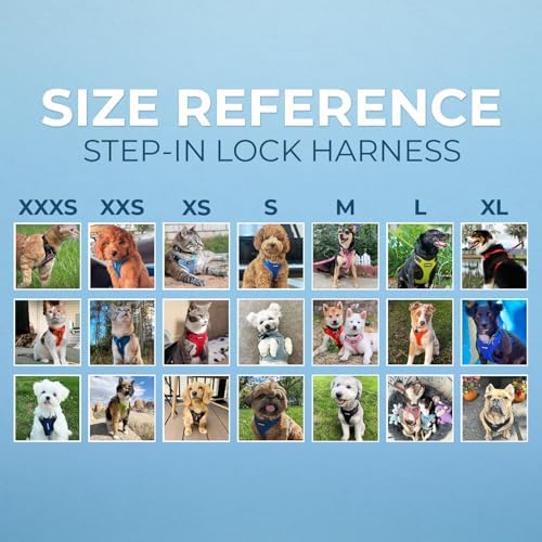 Best Pet Supplies Voyager Step-in Lock Pet Harness w Reflective Pet Leash Combo Set with Neoprene Handle 5ft - Supports Small, Medium and Large Breed Puppies/Cats - Orange/Black Trim, M