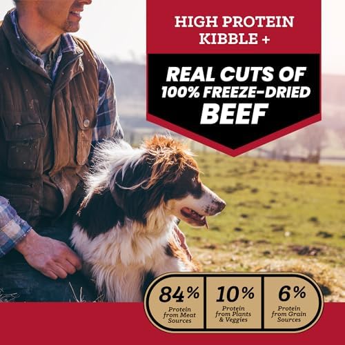 VICTOR Raw Kibble Blend - Ranchers' Beef Freeze-Dried Dry Dog Food, 20 lb