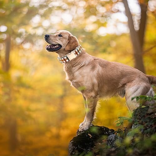 Dog Collars, Autumn Fall Plaid Print Pet Collar Durable Metal Collar Cute Puppy Collar Soft Collars Adjustable Dog Collar for X-Small Dogs