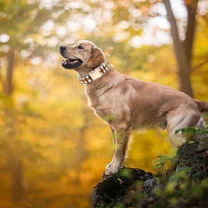 Dog Collars, Autumn Fall Plaid Print Pet Collar Durable Metal Collar Cute Puppy Collar Soft Collars Adjustable Dog Collar for X-Small Dogs