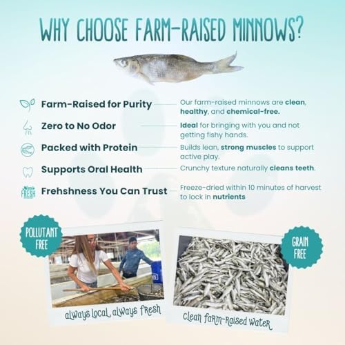 Otis & Pearly Freeze Dried Minnow Dog Treats - Single Ingredient, Made in USA - Healthy Protein Treat for Small, Medium, Large Breeds, 1 oz