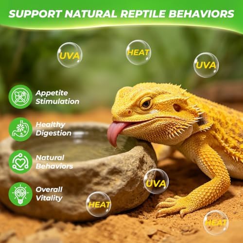 LUCKY HERP Reptile Heat Lamp Bulbs 75W, UVA Daylight Basking Bulbs 2 Pack