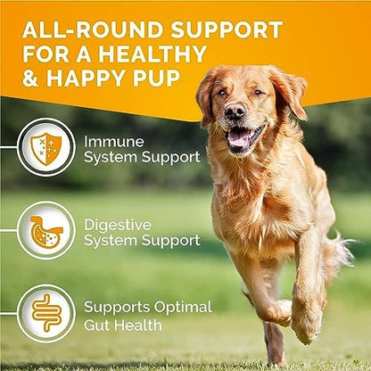 Itch Relief for Dogs - Allergy Chews for Dogs Anti Itch 120 Chews
