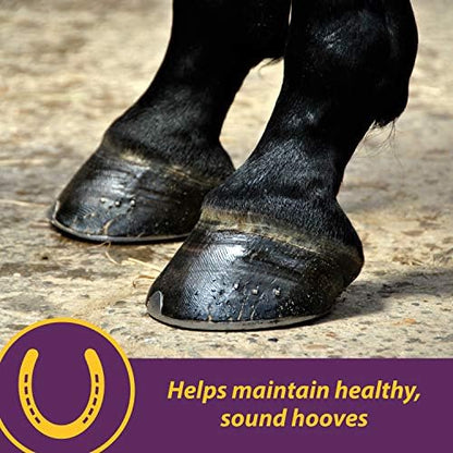 Horse Health Vita Biotin Crumbles Horse Hoof Supplement, Biotin Supplement Supports Healthy Hoof Growth, Strong Walls, Prevents Cracks & Chipping, 3 lbs, 48-Day Supply