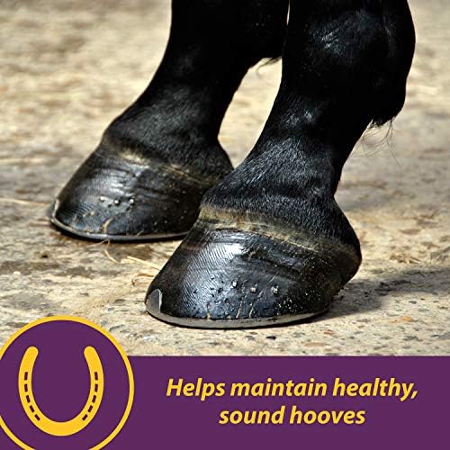 Horse Health Vita Biotin Crumbles Horse Hoof Supplement, Biotin Supplement Supports Healthy Hoof Growth, Strong Walls, Prevents Cracks & Chipping, 3 lbs, 48-Day Supply