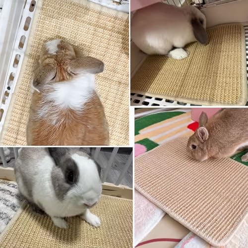 2PCS Rabbit Scratch Mat, Natural Bunny Pad Claws and Teeth Care, 16x12