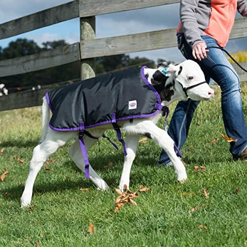 Weaver Livestock Pro Calf Blanket, Small, Black