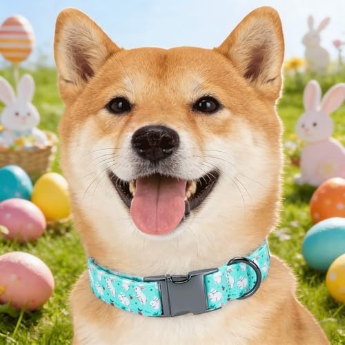 Easter Dog Collar, White Rabbit Print Blue Pet Collars Cute Durable Metal Buckle Girl and Boy Dog Collars Adjustable for Small Medium Large Dogs