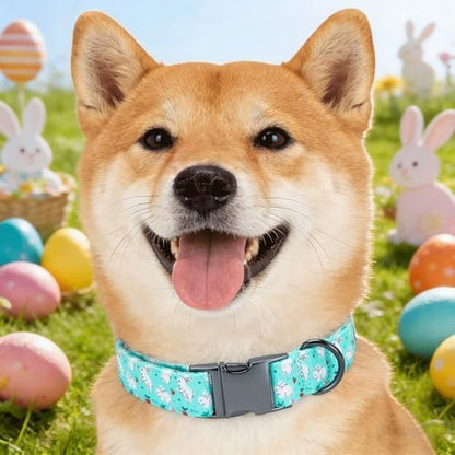 Easter Dog Collar, White Rabbit Print Blue Pet Collars Cute Durable Metal Buckle Girl and Boy Dog Collars Adjustable for Small Medium Large Dogs