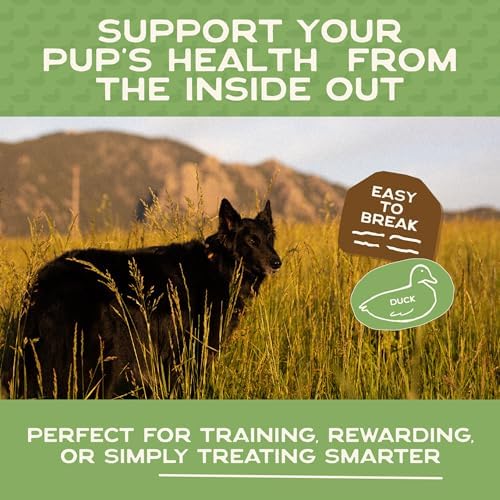 Smart Cookie Duck Jerky Dog Treats with Flax Seed, Omega Oils- Hypoallergenic Strips for Dogs and Puppies with Allergies, Sensitive Stomachs - Dehydrated, Grain Free, Made in USA - 3oz Bag, Pack of 3