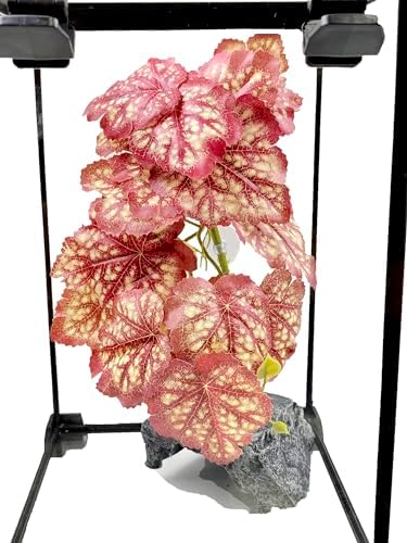 Woyrise Reptile Plants, Terrarium Hanging Plants Vines for Reptile Tank, Amphibian Habitat Leaves Decor with Suction Cup for Bearded Dragon Lizard Snake Gecko Frog Hermit Crab - 2Pcs Pink Heuchera